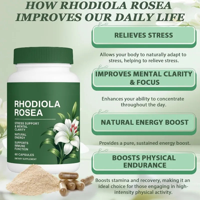 500mg Rhodiola Rosea Capsules Natural Herbaceous Plants Supplement for Daily Stress Support & Energy Balance 60pieces Per Bottle