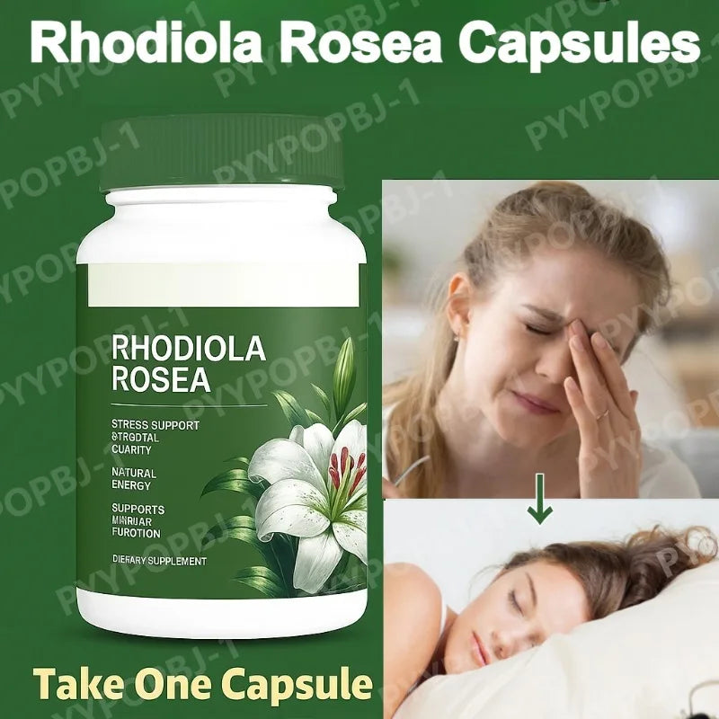500mg Rhodiola Rosea Capsules Natural Herbaceous Plants Supplement for Daily Stress Support & Energy Balance 60pieces Per Bottle