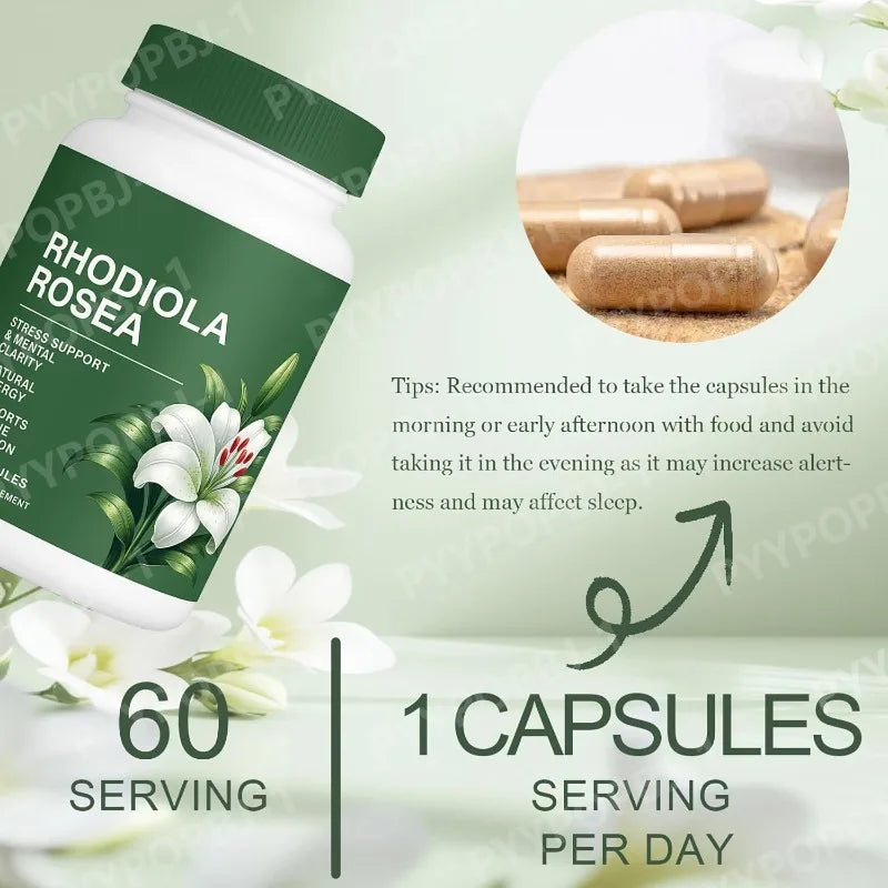 500mg Rhodiola Rosea Capsules Natural Herbaceous Plants Supplement for Daily Stress Support & Energy Balance 60pieces Per Bottle
