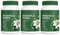 500mg Rhodiola Rosea Capsules Natural Herbaceous Plants Supplement for Daily Stress Support & Energy Balance 60pieces Per Bottle