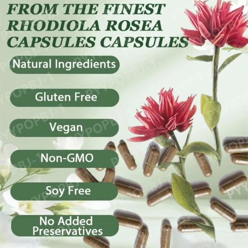 500mg Rhodiola Rosea Capsules Natural Herbaceous Plants Supplement for Daily Stress Support & Energy Balance 60pieces Per Bottle