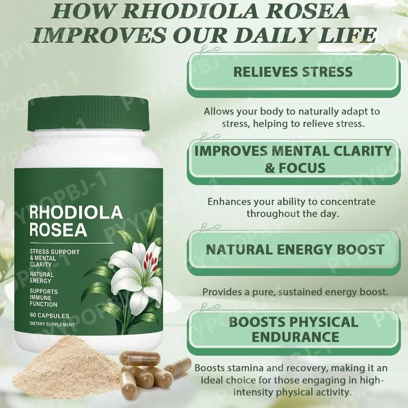 500mg Rhodiola Rosea Capsules Natural Herbaceous Plants Supplement for Daily Stress Support & Energy Balance 60pieces Per Bottle