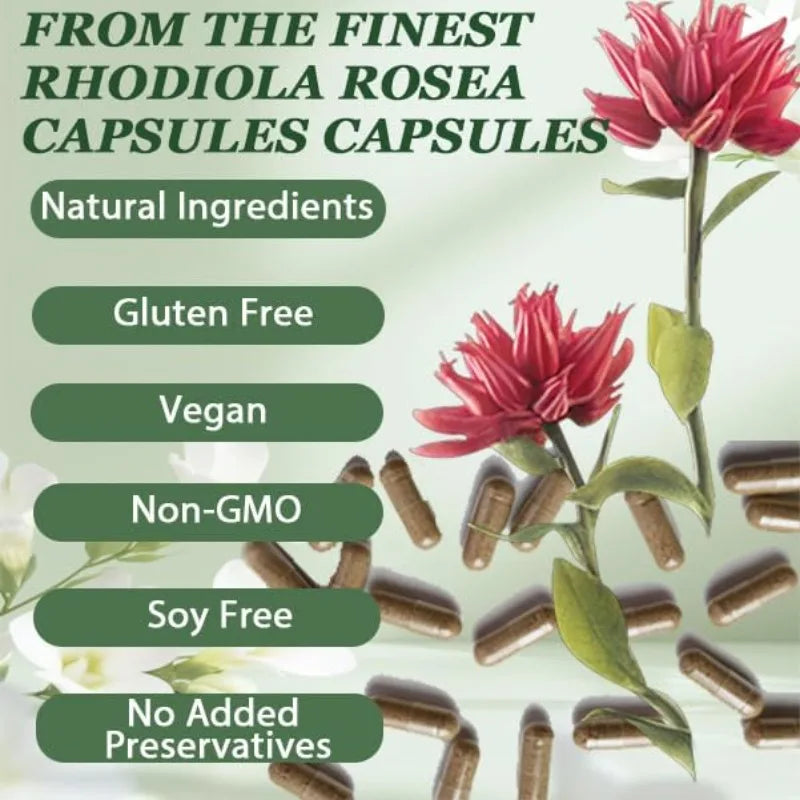 500mg Rhodiola Rosea Capsules Natural Herbaceous Plants Supplement for Daily Stress Support & Energy Balance 60pieces Per Bottle