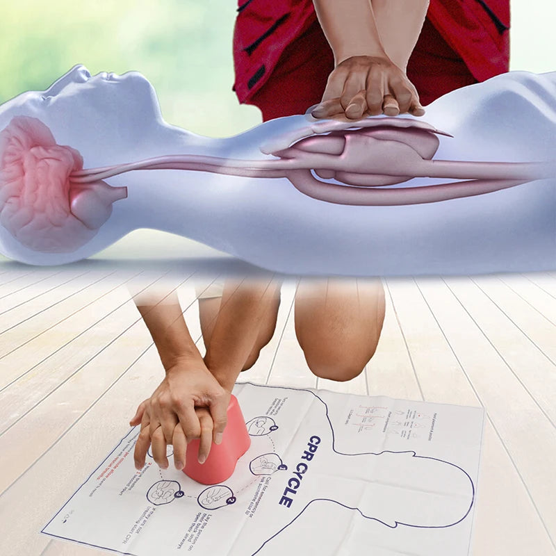 Medical First Aid Rescue Teaching Tool for Nursing Mini Heart-Shaped CPR Training Manikin Model